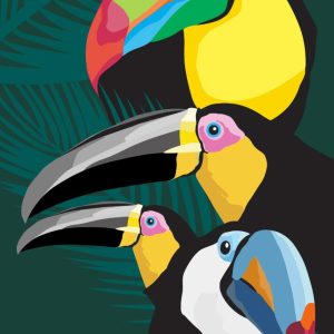 Toucan Group
