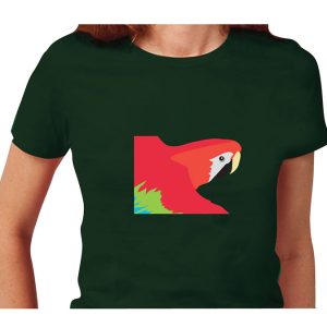 Colorful Birds Eight